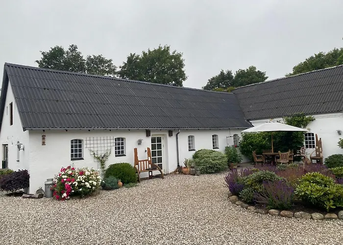 Guldforhoved B&B